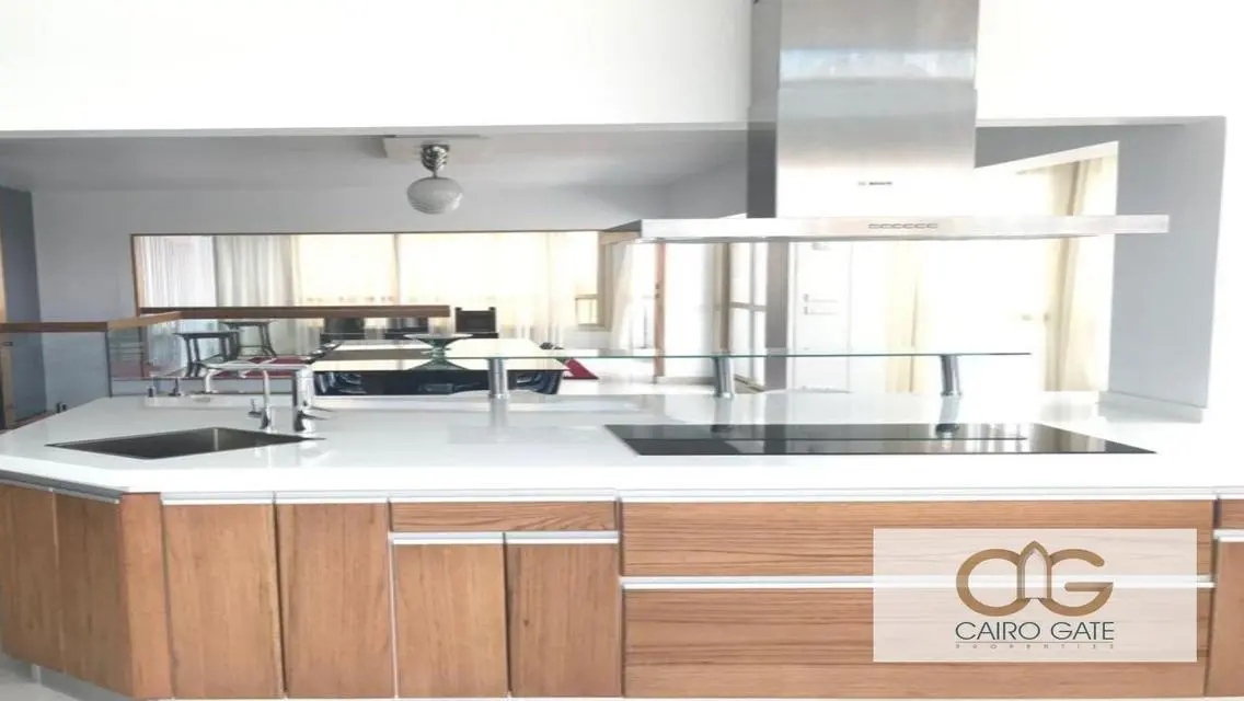 Prestigious panoramic City view in Zamalek south