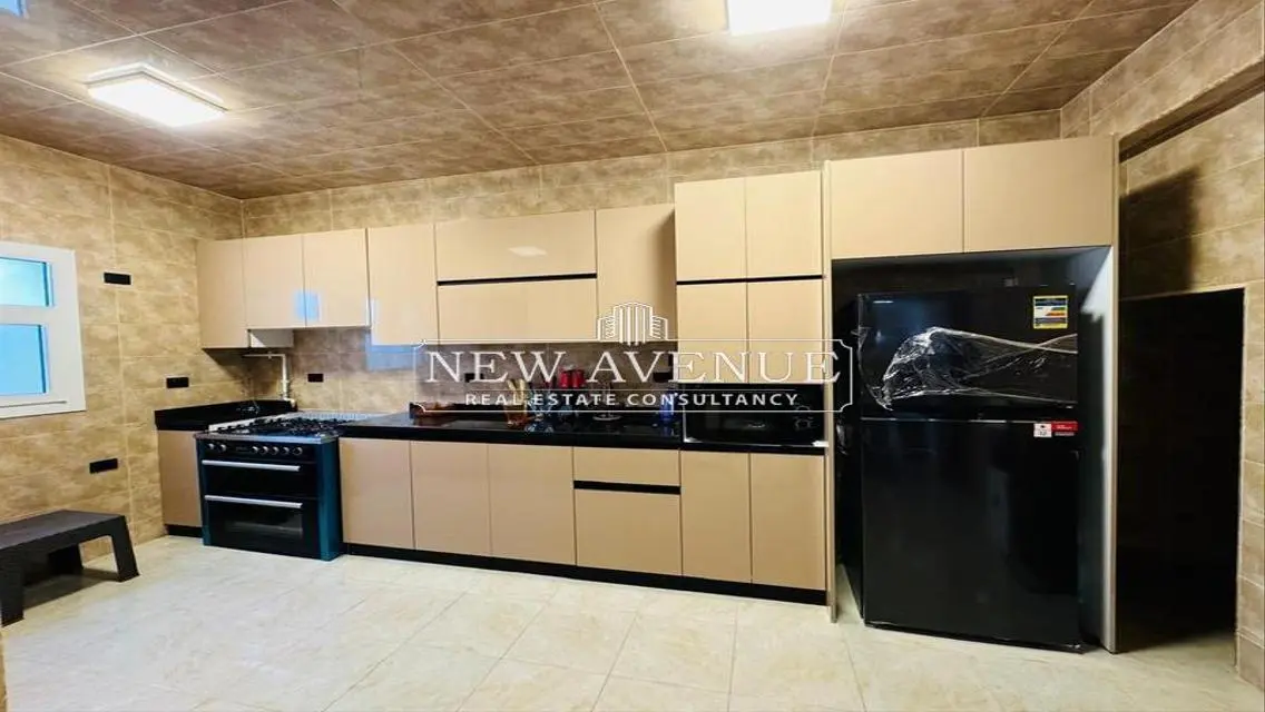 Fully finished &amp; furnished Twin house in Madinty