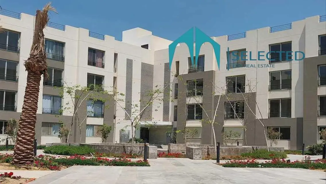 apartment for sale palm parks -palmhills