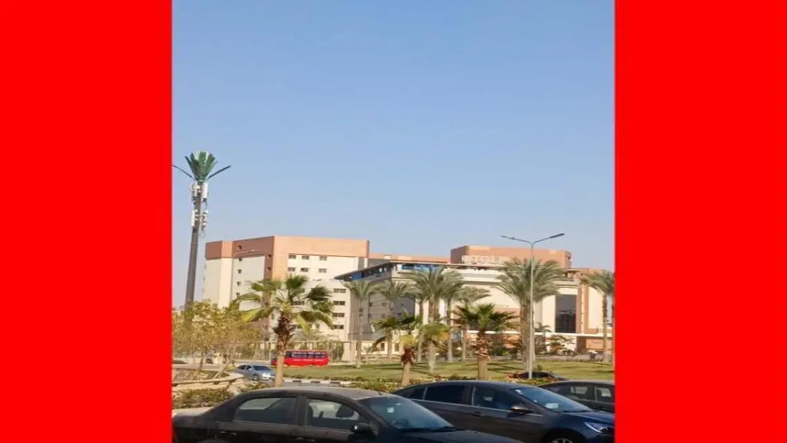 Apartment for rent in Gardenia City Compound, Nasr