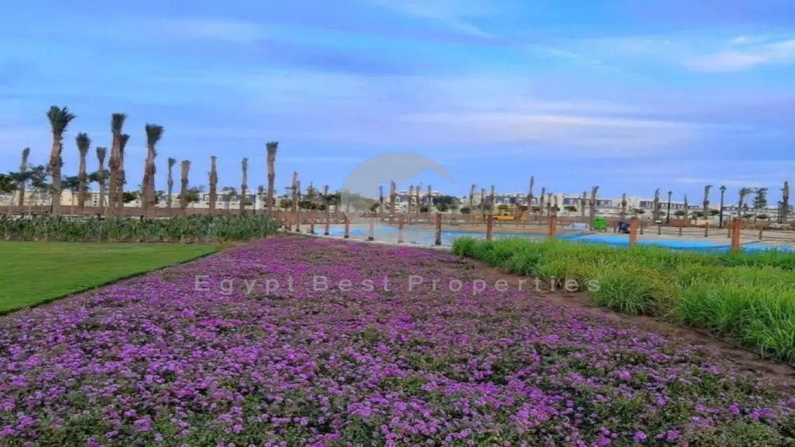 Lowest Price Villa in Hyde Park on Central Park