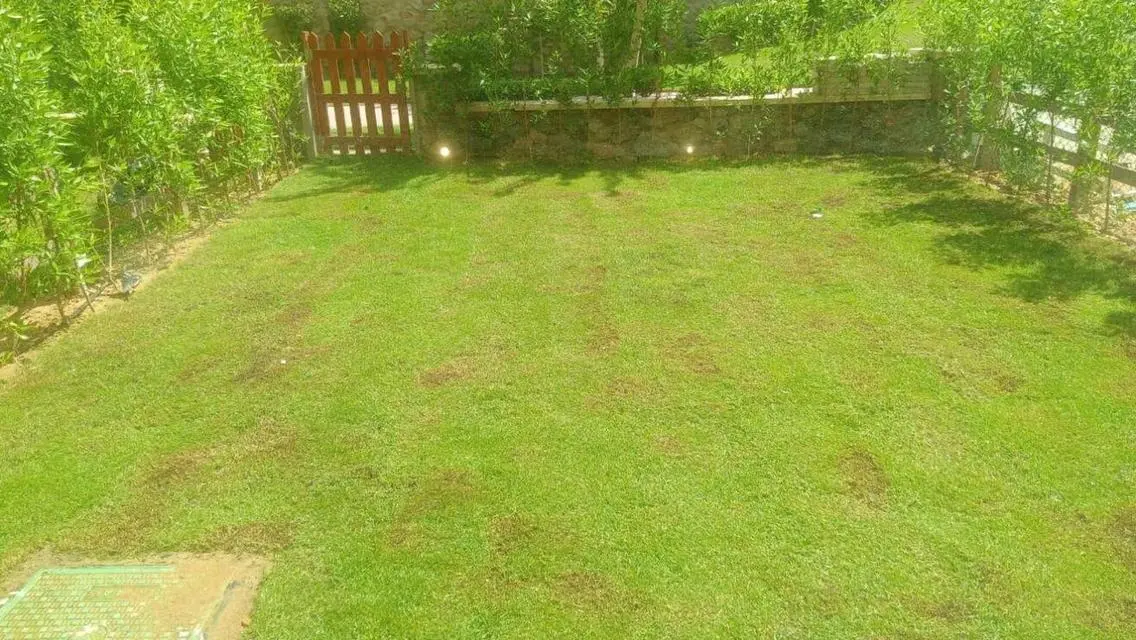i villa for rent garden view - at a special price