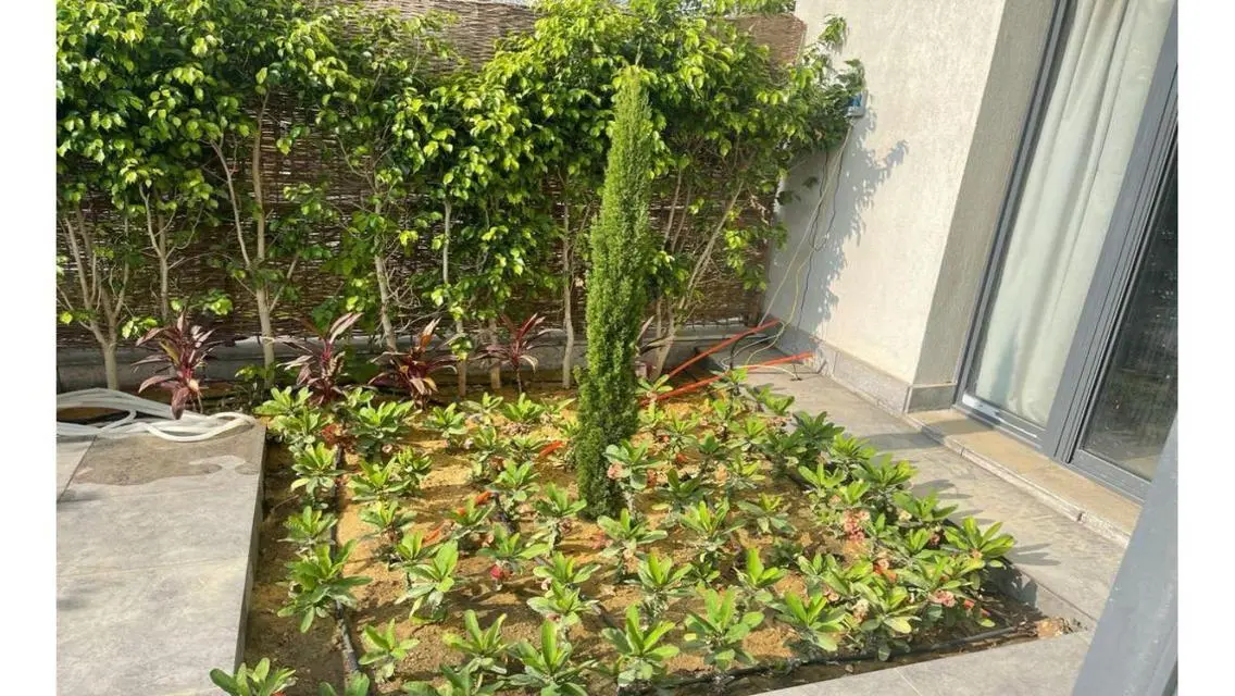 Apartment for rent furnished in Eastown