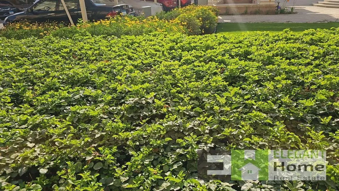 شقه نصف مفروشه للإيجار في ميفيدا بأرخص سعر