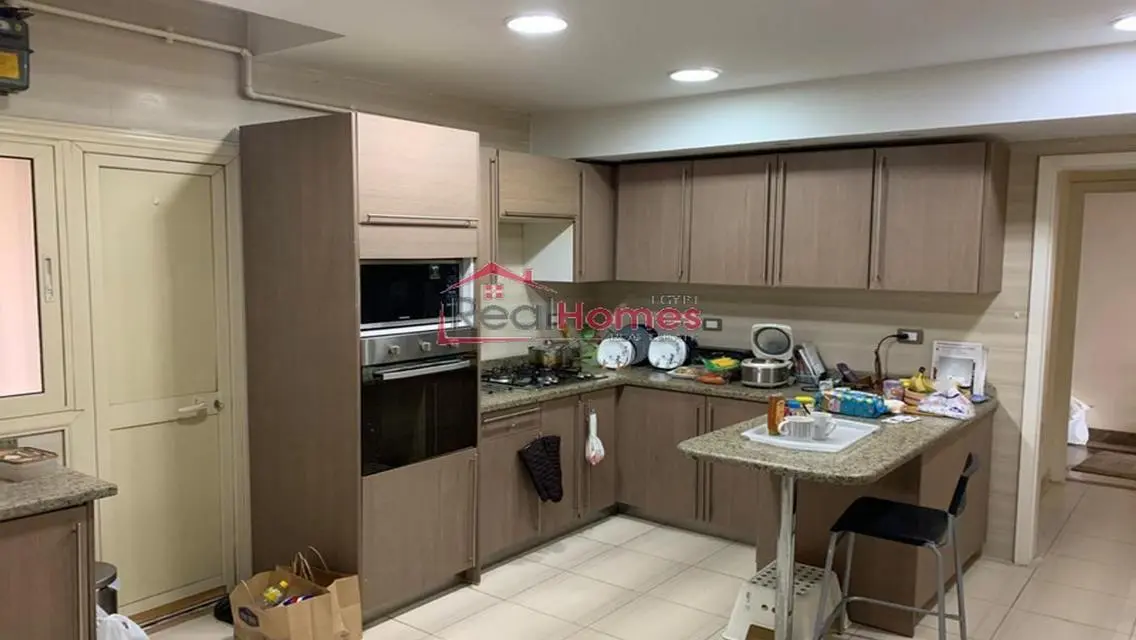 Newly renovated apartment in zamalek nile view