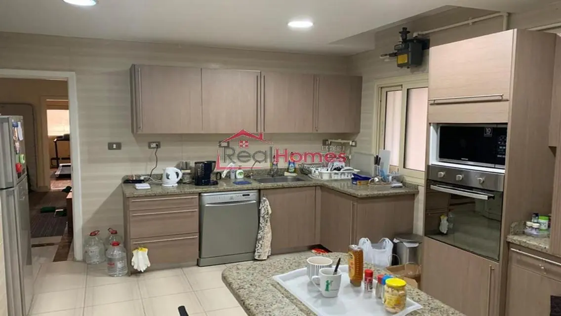 Newly renovated apartment in zamalek nile view