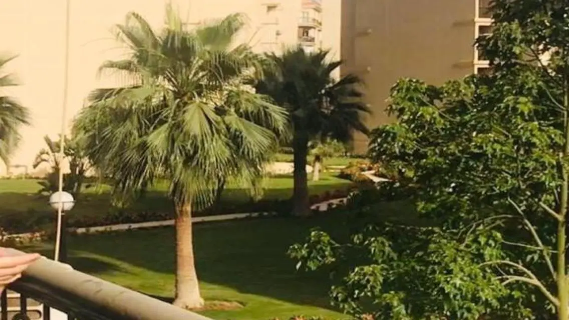 شقة مفروش للايجار99م ف المرحلة التاسعة جاهزه للسكن