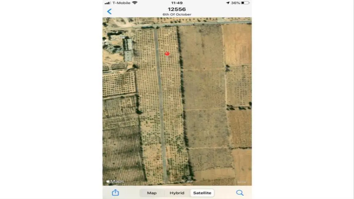 12.5 ACRE CAIRO ALEX DESERT RD- GREAT OPPORTUNITY