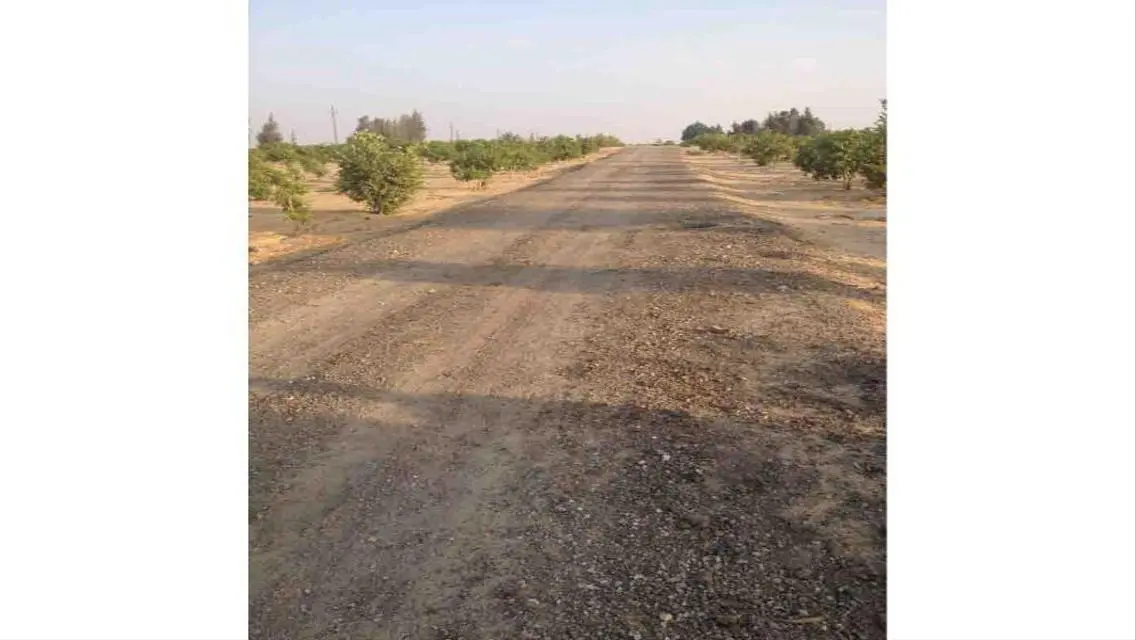 12.5 ACRE CAIRO ALEX DESERT RD- GREAT OPPORTUNITY