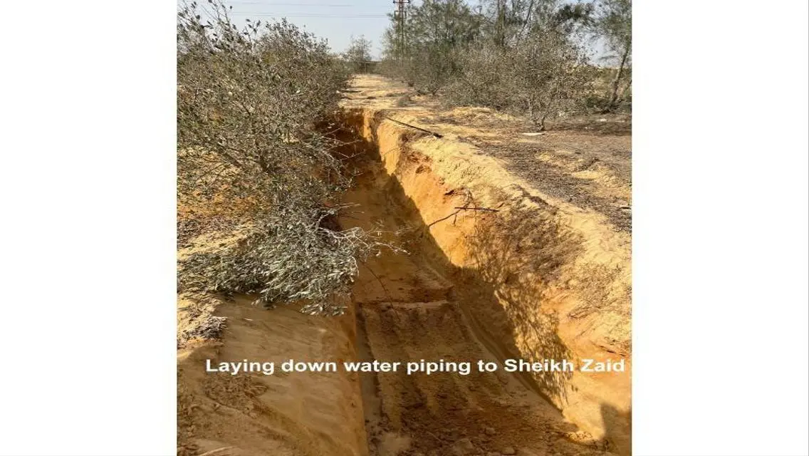 12.5 ACRE CAIRO ALEX DESERT RD- GREAT OPPORTUNITY