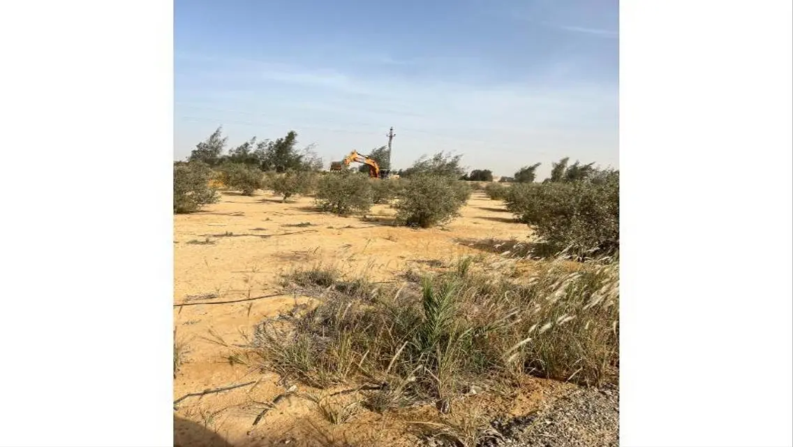 12.5 ACRE CAIRO ALEX DESERT RD- GREAT OPPORTUNITY