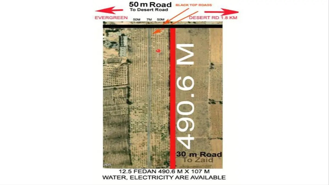 12.5 ACRE CAIRO ALEX DESERT RD- GREAT OPPORTUNITY