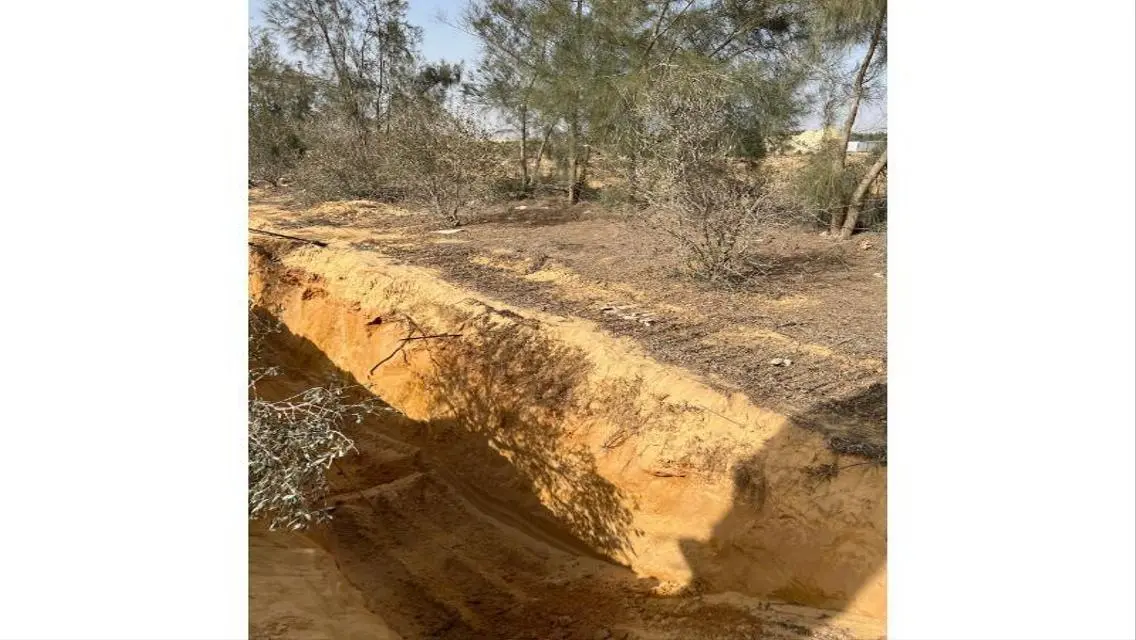 12.5 ACRE CAIRO ALEX DESERT RD- GREAT OPPORTUNITY