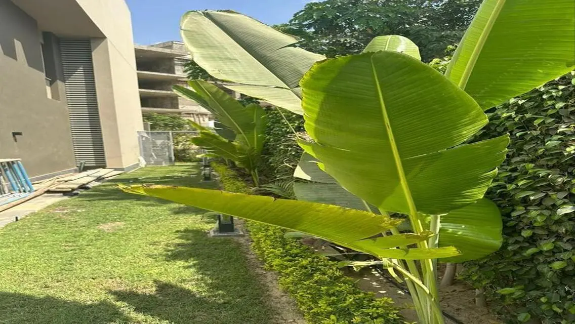Villas for Sale in Palm Hills Katameya Extension