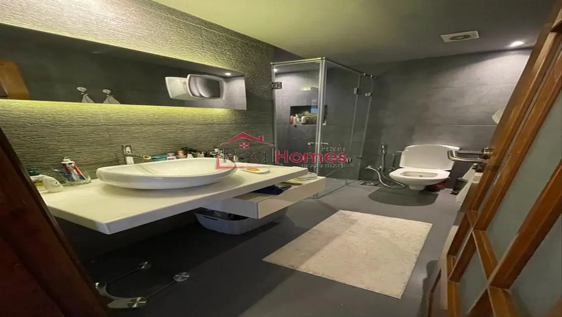 bright modern one bedroom apartment for rent
