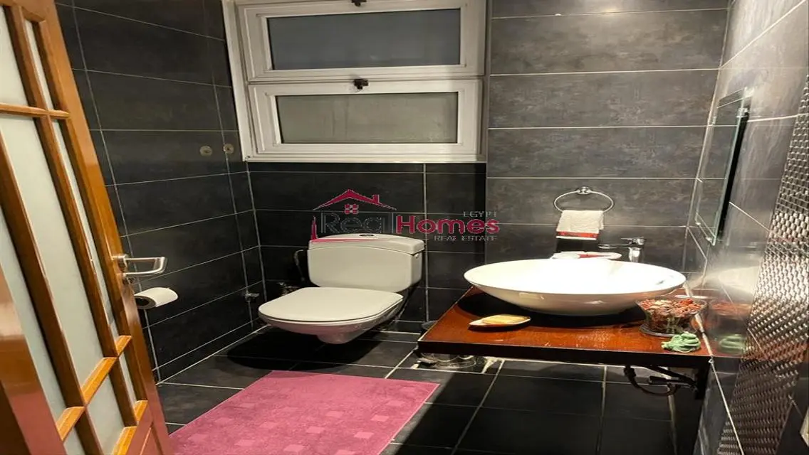 bright modern one bedroom apartment for rent