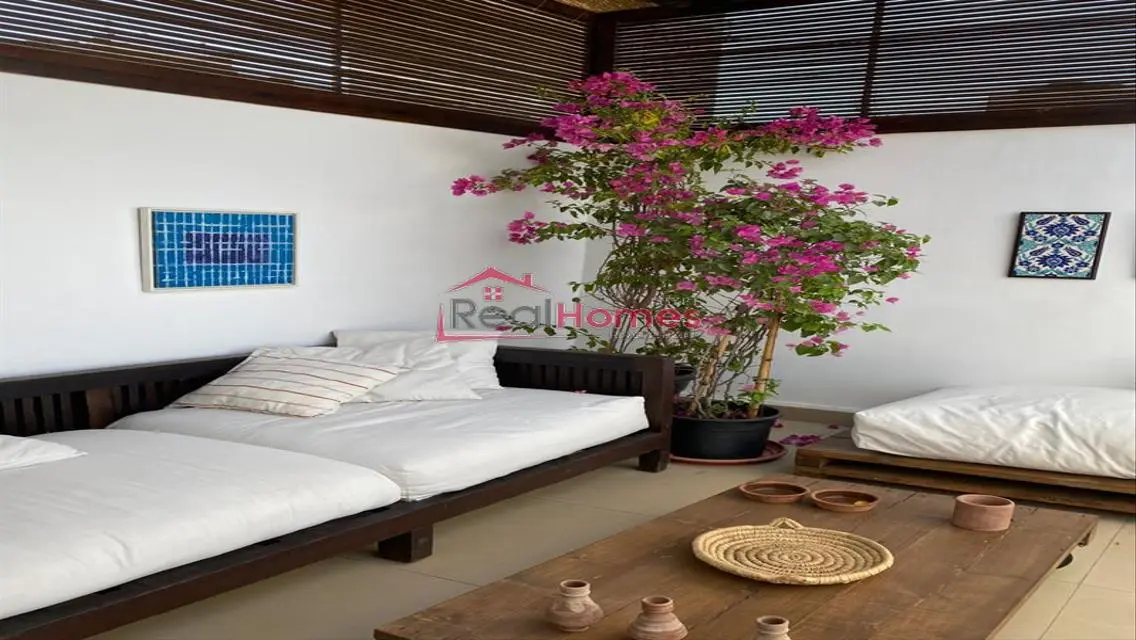 Ultra modern one bedroom apartment with a terrace