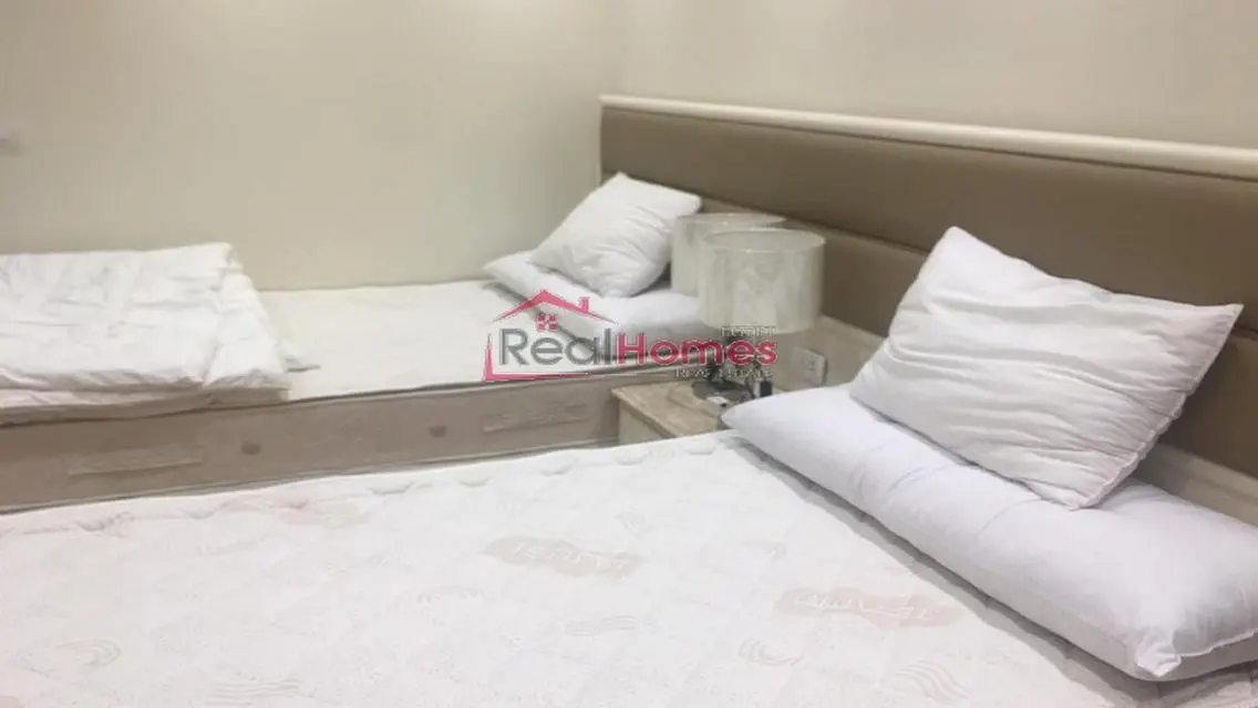 Newly renovated furnished apartment for rent
