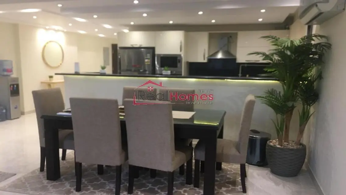 Newly renovated furnished apartment for rent