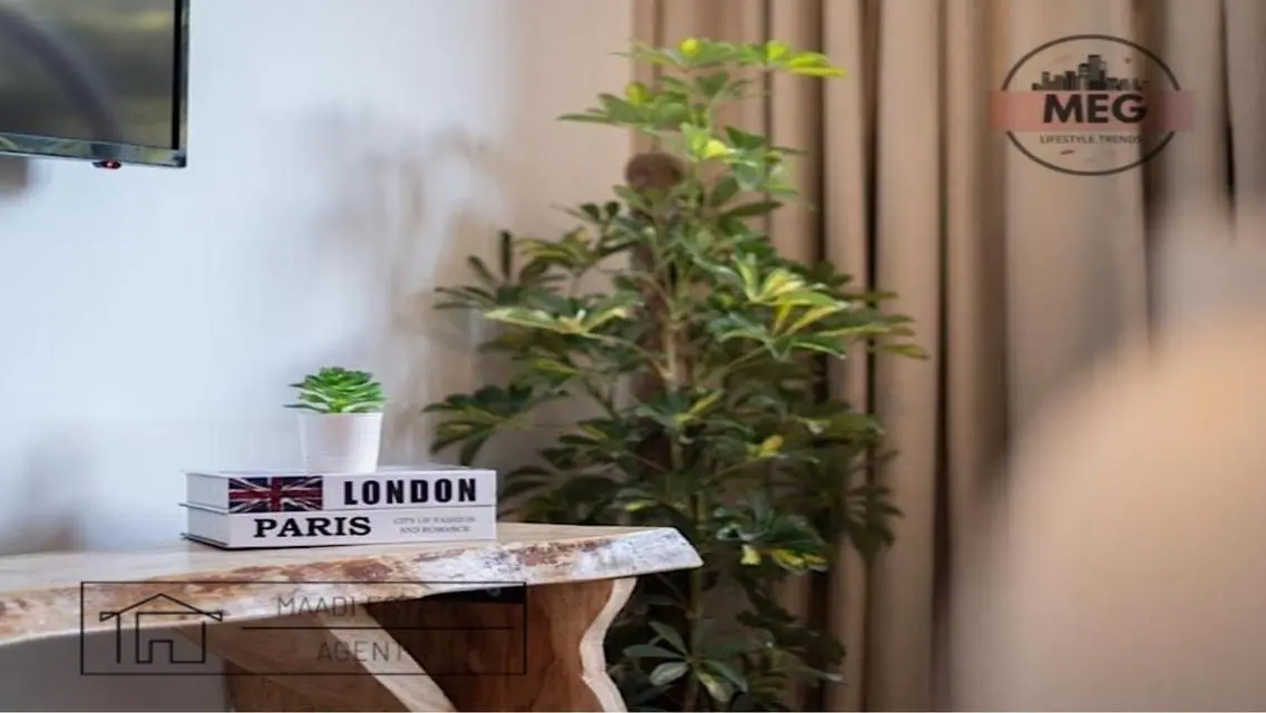 Modern Flat For Rent-Degla Maadi Prime location