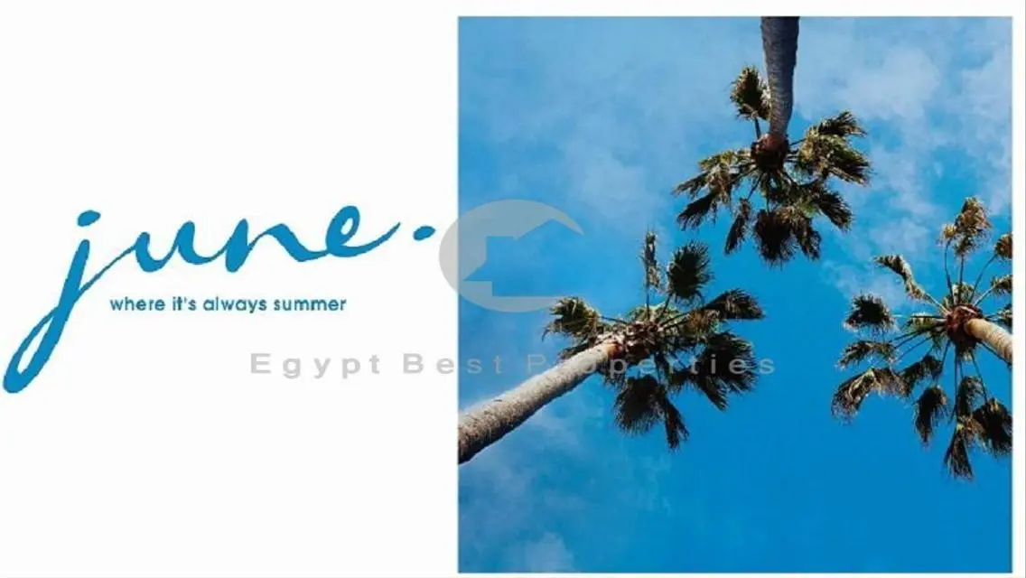 prime chalet june sodic delivery 2025 best price
