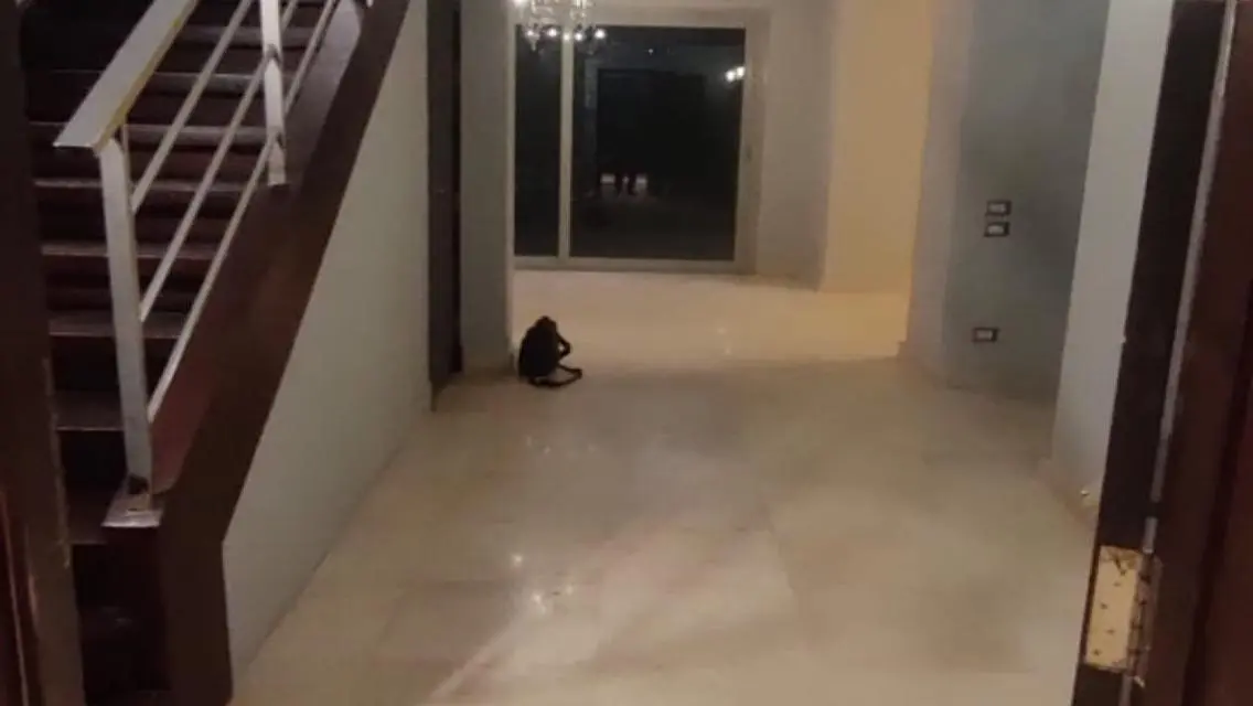 دوبلكس للإيجار فيليج جيت بالم هيلز أرضي بجاردن