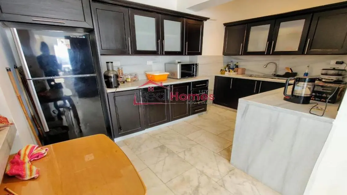 ultra modern bright apartment for rent in zamalek