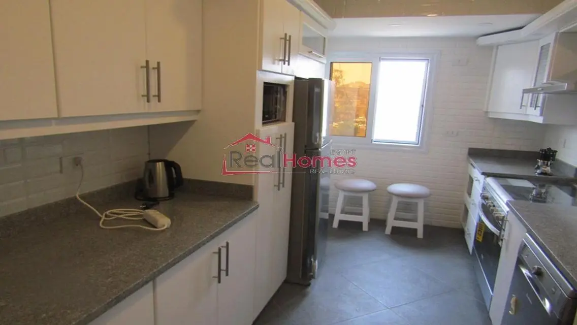 bright apartment with terrace for rent at zamalek