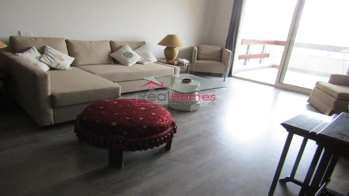 bright apartment with terrace for rent at zamalek
