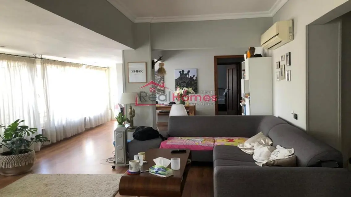 nile view modern bright apartment