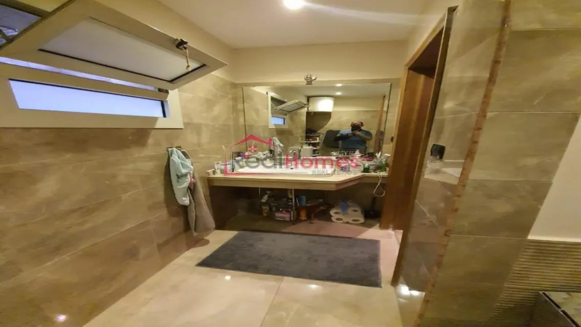 nile view modern bright apartment