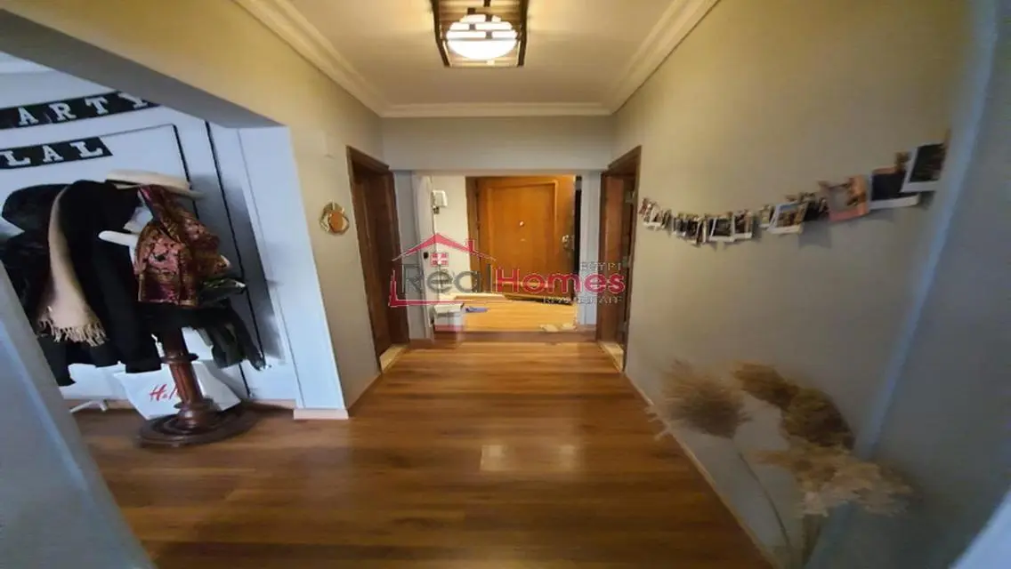 nile view modern bright apartment