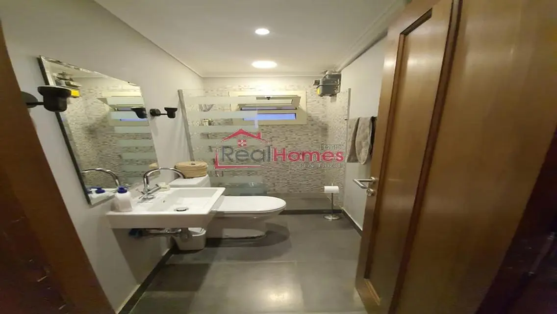 nile view modern bright apartment