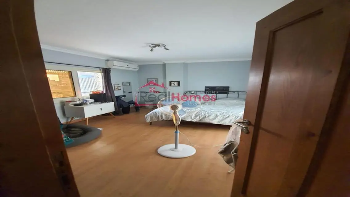 nile view modern bright apartment