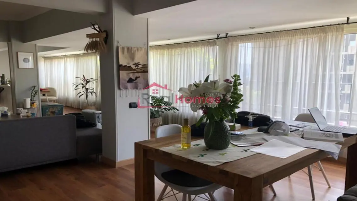 nile view modern bright apartment