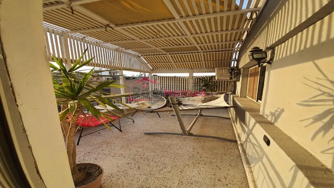 nile view modern bright apartment