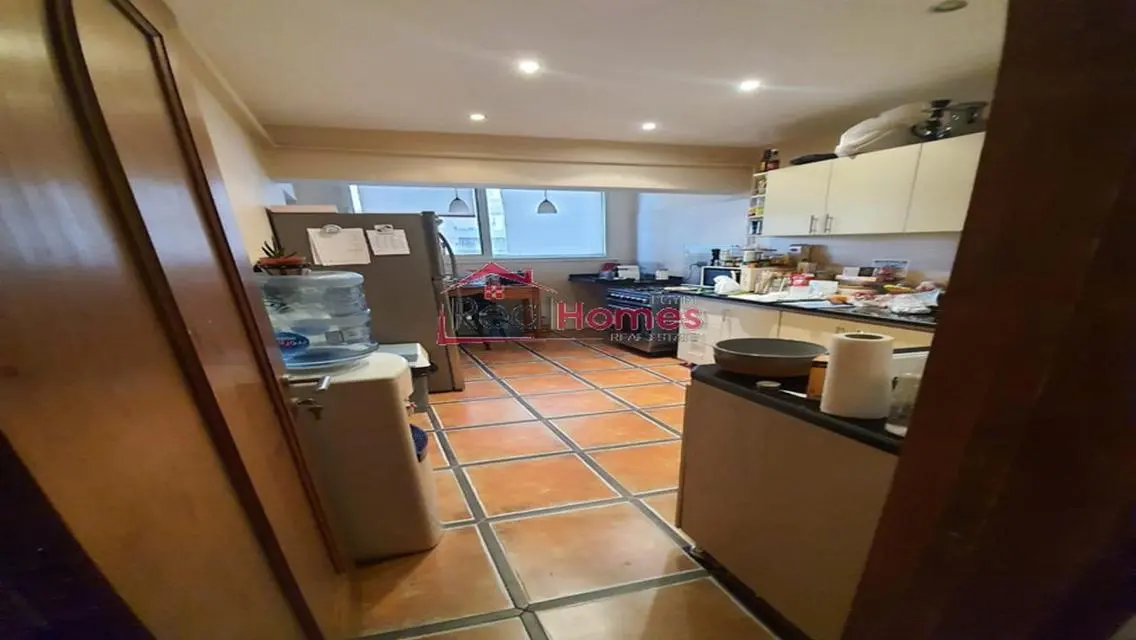 nile view modern bright apartment