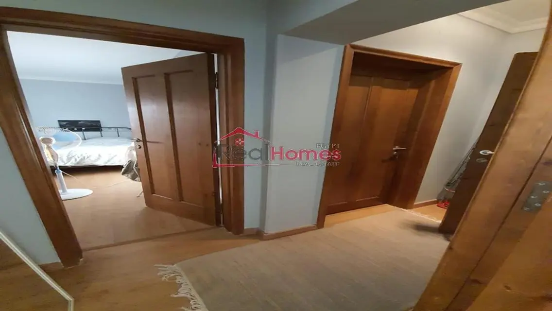 nile view modern bright apartment