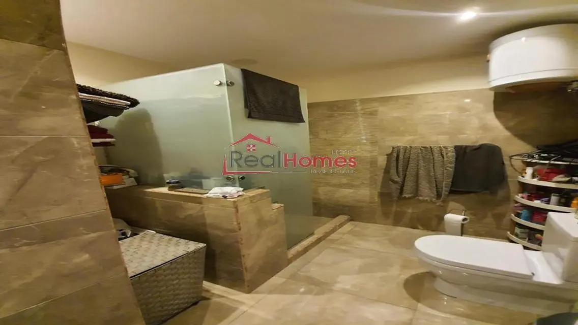 nile view modern bright apartment