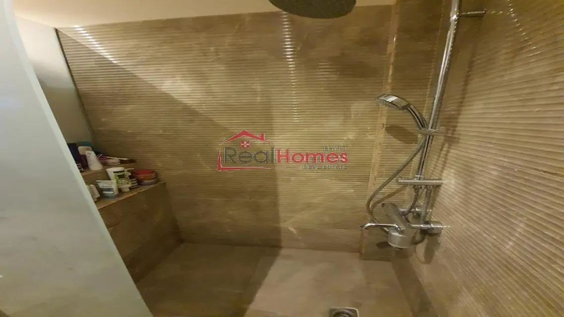 nile view modern bright apartment