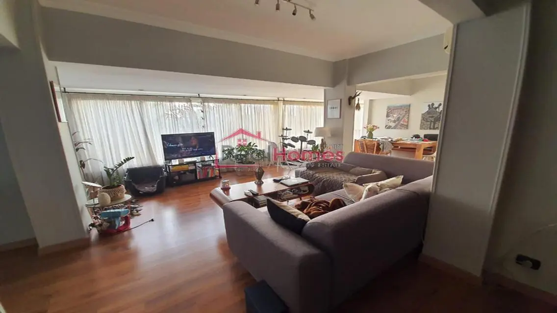 nile view modern bright apartment