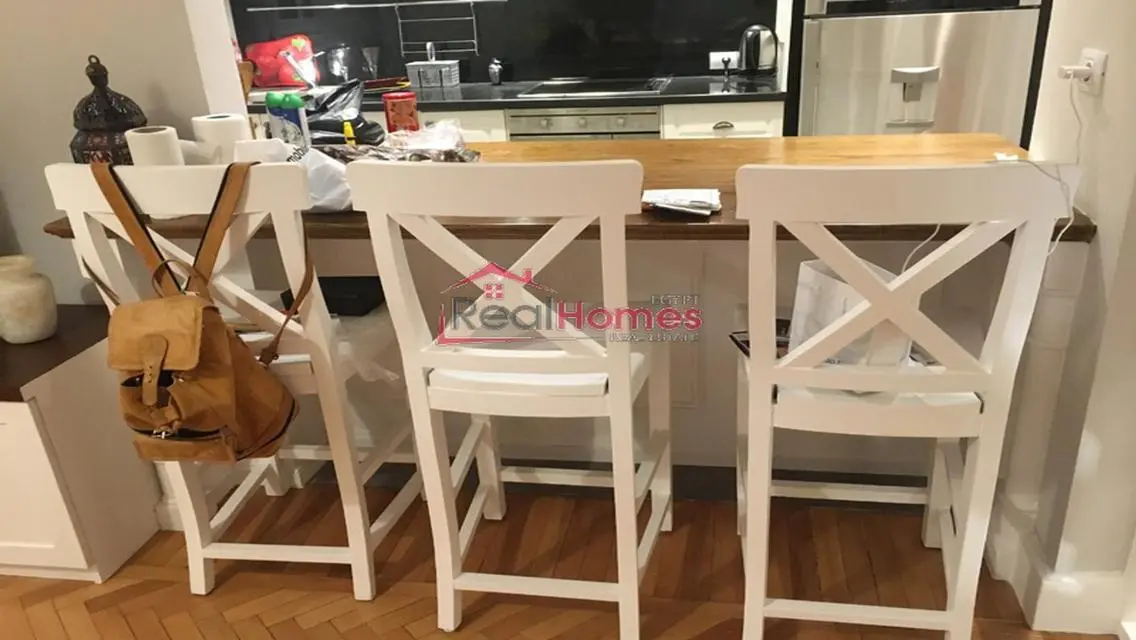 unique modern apartment for rent in zamalek