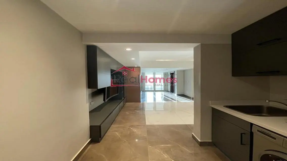 one bedroom modern nile view apartment