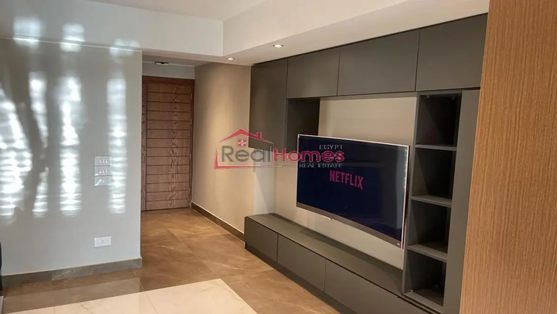 one bedroom modern nile view apartment