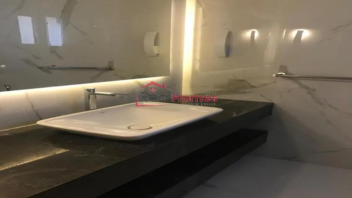 stylish furnished apartment for rent in zamalek