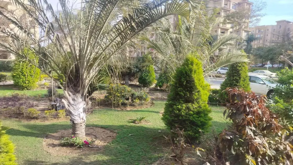 شقة مميزة في منطقة B2 بالإسكندرية