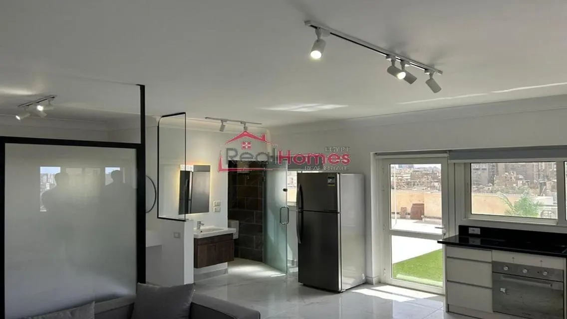 one bedroom modern nile view apartment