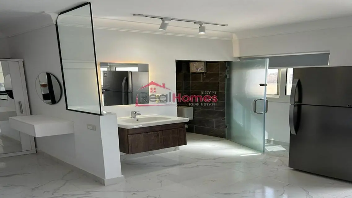 one bedroom modern nile view apartment