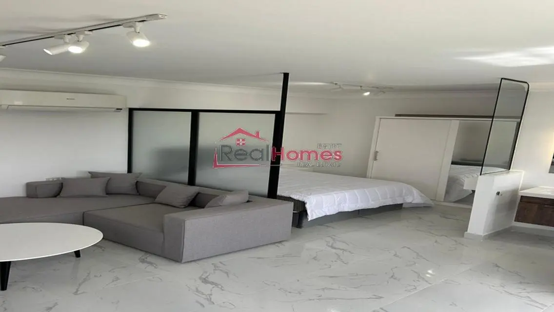 one bedroom modern nile view apartment