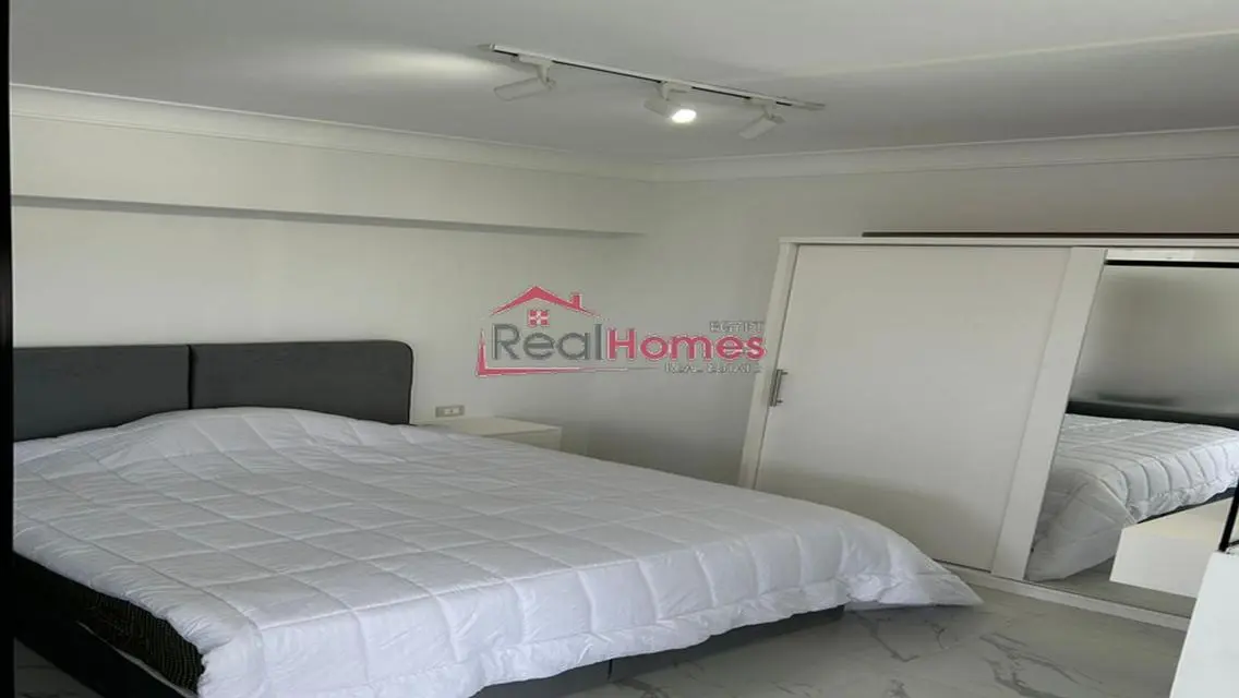 one bedroom modern nile view apartment
